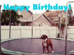 Animated funny happy birthday gif. Funny Happy Birthday Gifs