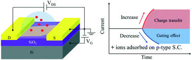 Check spelling or type a new query. Semi Quantitative Design Of Black Phosphorous Field Effect Transistor Sensors For Heavy Metal Ion Detection In Aqueous Media Molecular Systems Design Engineering Rsc Publishing