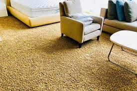Maybe you would like to learn more about one of these? Xtreme Carpet Care Llc Carpet Installation Louisville Ky