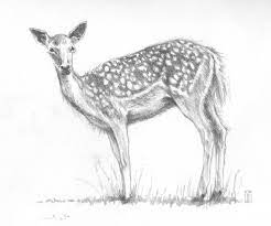 Pin On Drawing Ideas
