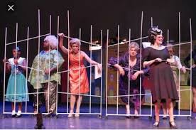 Pin By Dylan Kaercher On Hairspray Hairspray Musical Hairspray Hairspray Costume