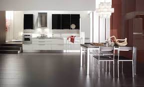 This is typically the most expensive type of. 52 Lacquer Kitchen Cabinets Ideas Kitchen Cabinets Kitchen Kitchen Cupboards