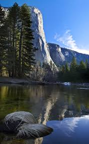1082x1922px Free Download Hd Wallpaper Forest Mountain Nature Portrait Display River Water Lake Wallpaper Flare
