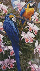 8 3/4 x 6 7/8. Artecy Cross Stitch Jungle Majesty Crop Cross Stitch Pattern To Print Online