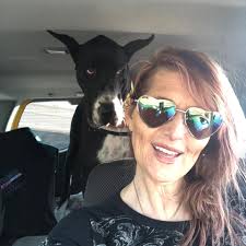 Service Dogs Bumble and Frank