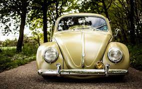 Pin On Vw Beetle