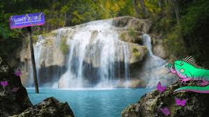 First, we have to convert that gif into a movie file, then we add it to zoom as a virtual background. Zoom Backgrounds Gif By Giphy Cares Find Share On Giphy