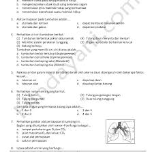 Soal Mts Kelas 9 Guru Ilmu Sosial