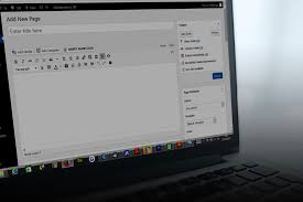 Sue Lay Career Coach