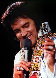 Elvis and graceland fanpage