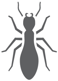 Wilmington also has several types of wildlife in the area that. Pest Control Service Clegg S Termite And Pest Control