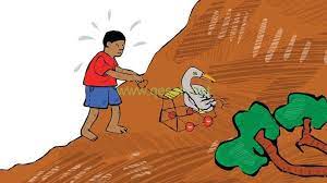 قصه عن الرفق بالحيوان مصورة قصة كريم ونورين قصة واقعية