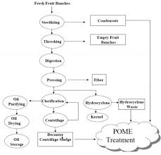 Palm oil mill effluent (pome) definition andwording §pome is the unavoidable wastewater arising from palm oil production at a palm oil mill (i.e. Performance Of Chitosan As Natural Coagulant In Oil Palm Mill Effluent Treatment Intechopen