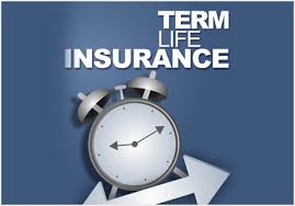 The notion of rop is simple. Return Of Premium Life Insurance Pros Cons Insurance Pro Az