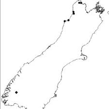 You have to give credit by linking to this new zealand elevation floodmap pro only $9/mo now floodmap pro has elevation map generator 👉 select location, zoom and map size 👉 higher resolution and large. Outline Map Of South Island New Zealand Plotting Distributions Of Download Scientific Diagram
