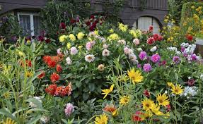 Willkommen Im Bauerngarten Bauerngarten Garten Staudenbeet
