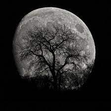 Tree Silhouette On Moon By Ernie Echols In 2021 Tree Silhouette Full Moon Tattoo Black And White Space Tattoo