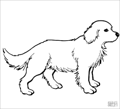 Search through 623,989 free printable colorings at. Labrador Retriever Puppy Coloring Pages Coloringbay