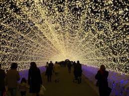 The Tunnel Of Lights Ireland Wtf Fun Facts Nabana No Sato Light Tunnel Winter Light