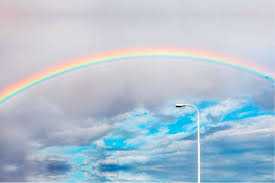 La existencia de diferentes modalidades de interpretación del color en función de la especie. El Arcoiris El Significado Espiritual De