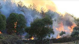 Sepa cómo protegerse y proteger a su familia de un incendio forestal, cómo evacuar de. H8evxjltcvjyrm