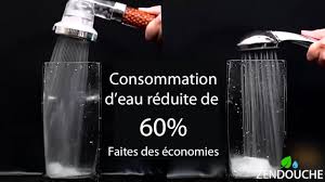 Pommeau Zendouche Pommeau De Douche Pommeau Produit Menager Maison