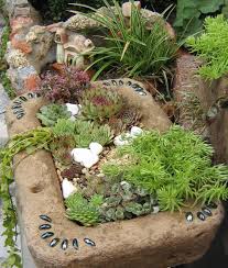 Trogle Pflanzschale Aus Beton Hypertufa Planter Sempervivum Pflanzen Sempervivum Garten