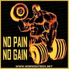 Pin On Meatheads