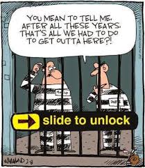 Mugshot Madness Facebook Prison Humor Legal Humor Bail Bondsman