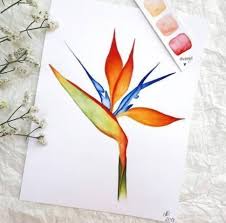 Abstract Bird Of Paradise Watercolor Book Art Painting Watercolors 29 Ideas Painting Book Art Artpaintingswatercolor Paradise Painting Watercolor Flowers Paintings Flower Art