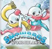 Amazon.com: Snow Bros. Wonderland - Nintendo Switch : Video ...