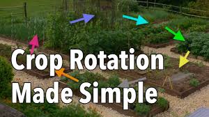 How To Rotate Your Vegetable Crops The Old Farmers Almanac
