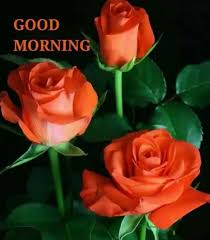 Look out and post this good morning wishes, images, quotes and messages in your facebook, twitter, pinterest pages or personally share it with your close buddy and let them know they are the first thing you remember when you open the eyes. 100 Good Morning Images With Flowers Beautiful Flowers