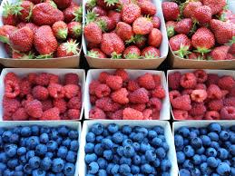 Les Ateliers De Kerolo Petits Fruits Tisanes Et Viandes D Agneau Tout Bio