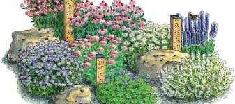 Die Besten Dauerbluher Fur Endlos Schone Staudenbeete Garten Pflanzen Garten Bepflanzen Blumenbeet Gestalten