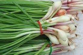 Daun bawang merupakan sejenis tumbuhan herba dari genus allium. File Greenonions Jpg Wikimedia Commons