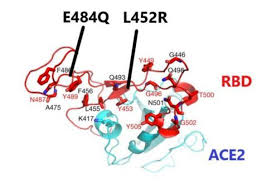 友情提示：本版所有作品，请自行查毒、杀毒，虽然我们会对精品区的作品进行审查，但不排除可能存在漏网之鱼。 欢迎大家举报违规帖子，对发布病毒、广告、色情等违规贴，一律ban id处理 。 同时请大家注意，不要因为自己的疏忽而把责任归咎于版主，对因此攻击版主的做扣分处理。 Mhowvx Hfqdtqm