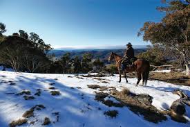 Winding walkway leading to snow mountains at mount kosciuszko national park, australia. What To Do In The Snowy Mountains If You Don T Ski Travel Insider