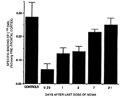 Is Mdma Neurotoxic Dancesafe