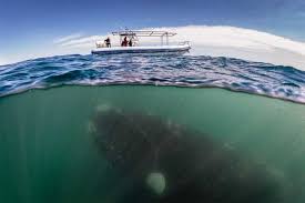 What Was Your Scariest Experience With Boats Ships Quora Palau, philippines, ocean, islands, 8k. what was your scariest experience with