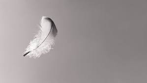 They offer hope, dignity, poise and requiem for a tired and weary mind. Comforting Signs Can Be Light As A Feather After Loss