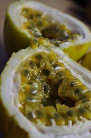 Gelbe Passionsfrucht Maracuja Selber Ziehen Exotische Pflanzen Aus Kernen Ziehen Mister Greens Welt Maracuja Pflanzen Exotische Pflanzen Pflanzen