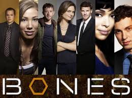 Special agent seeley une série avec des personnages complexes et attachants, une vraie intrigue avec du suspens. Serie Bones