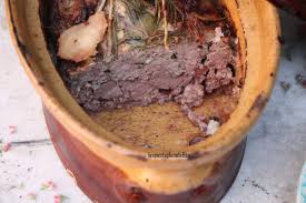 Pate De Lievre Les Petits Plats De Bea Pate De Lievre Plat Sans Viande Terrine De Lievre