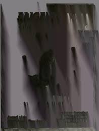 Image result for Sorghastrum fuscescens