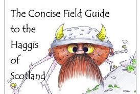 Haggis is a spicy mince, a type of pudding of high nutritional value made from sheep's innards, lamb's heart, lungs and liver, beef, onions, oats, and spices. The Concise Field Guide To The Haggis Of Scotland The Haggis Stahly Quality Foods