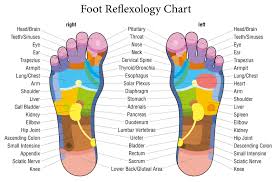 51 Right Nerve Endings In Feet Chart