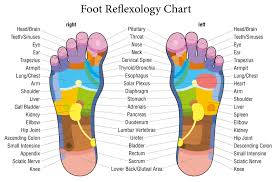 51 right nerve endings in feet chart