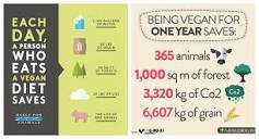 Waarom vegan? 10 voordelen van veganistische levensstijl