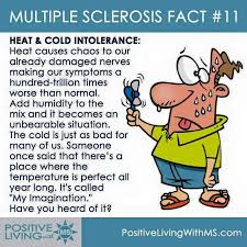 Yes I Tell People My Inner Thermostat Is Broken Multiple Sclerosis Multiple Sclerosis Symptoms Multiple Sclerosis Quotes
